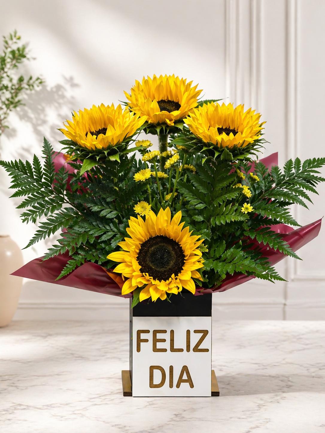 Cofre Sol y Alegría