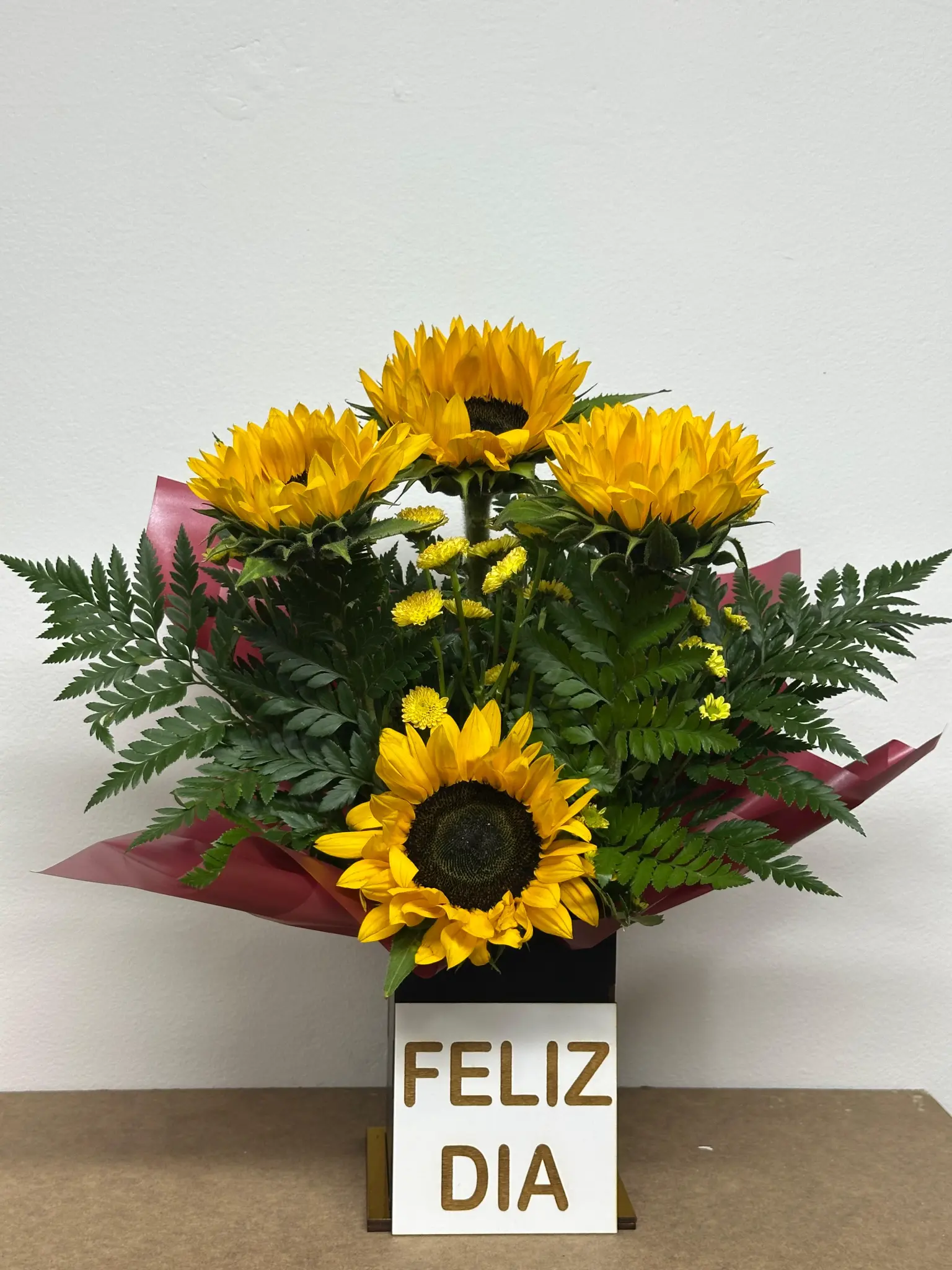 Cofre Vivo — Girasoles